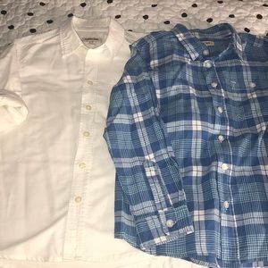 Button down shirts